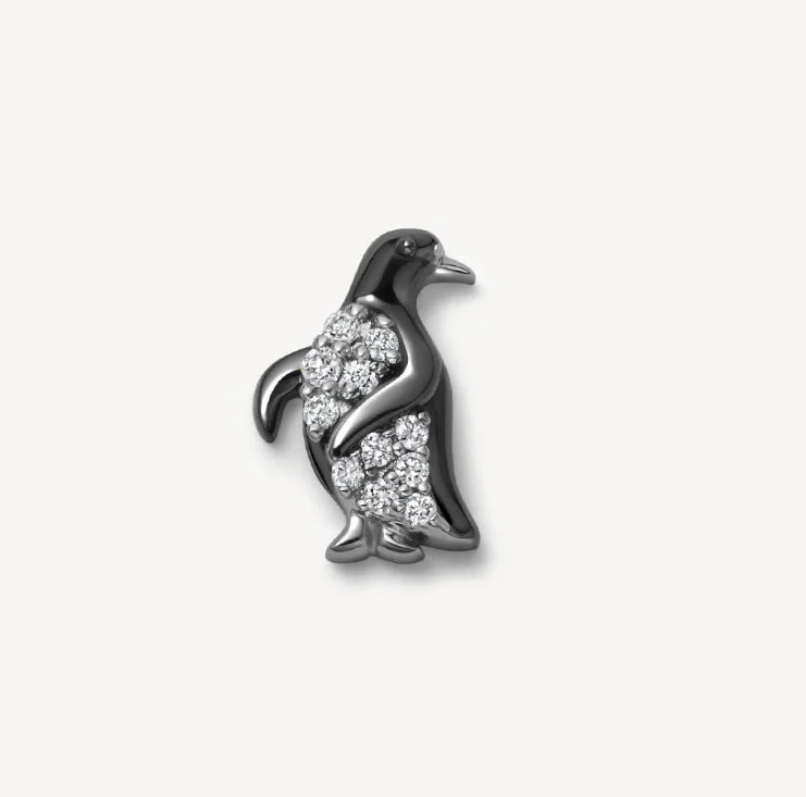 EternaLocket Charms
