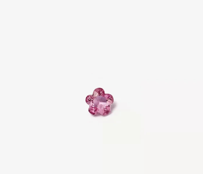 EternaLocket Charms